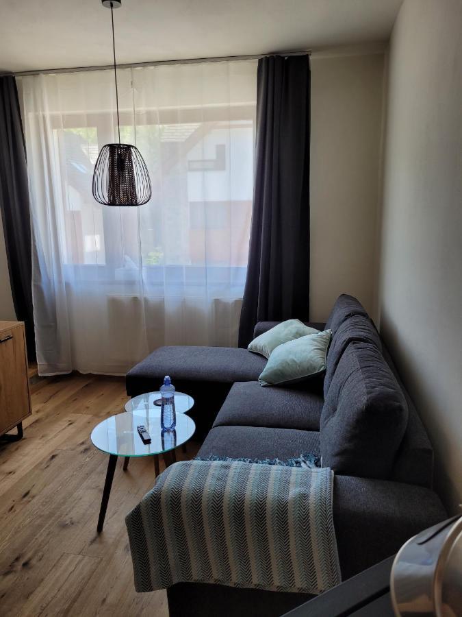 Artur Apartment Myto Mýto pod Ďumbierom Exteriör bild